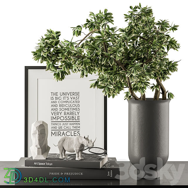 Black and Green Decorative Set with Plants Set 77