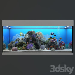 Marine Aquarium 