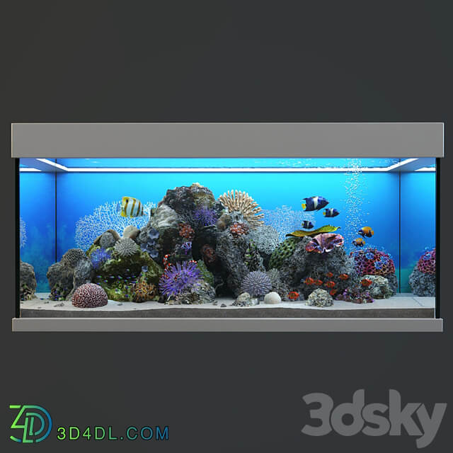 Marine Aquarium