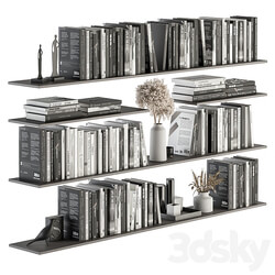 Decorative Set on Shelves and Decor objects Set 07 