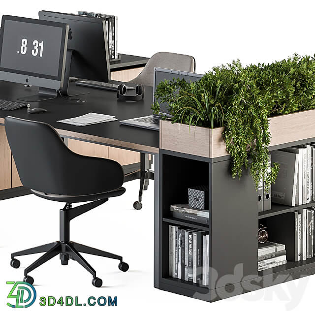 Office Furniture with Plant Box employee Set 48