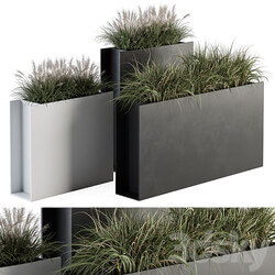 Outdoor Plant Set 288 Grass in Plant Box 