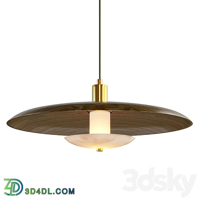 Pendant light Lampatron Reason pendant lamp