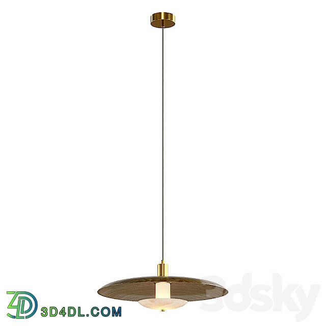 Pendant light Lampatron Reason pendant lamp