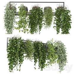 indoor plants in rusty concrete pot on metal shelf Set 0088 3D Models 3DSKY 