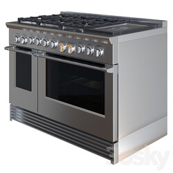 Professional Gas Range 3D Models 3DSKY 