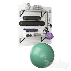 Home Fitness Set White 3D Models 3DSKY 