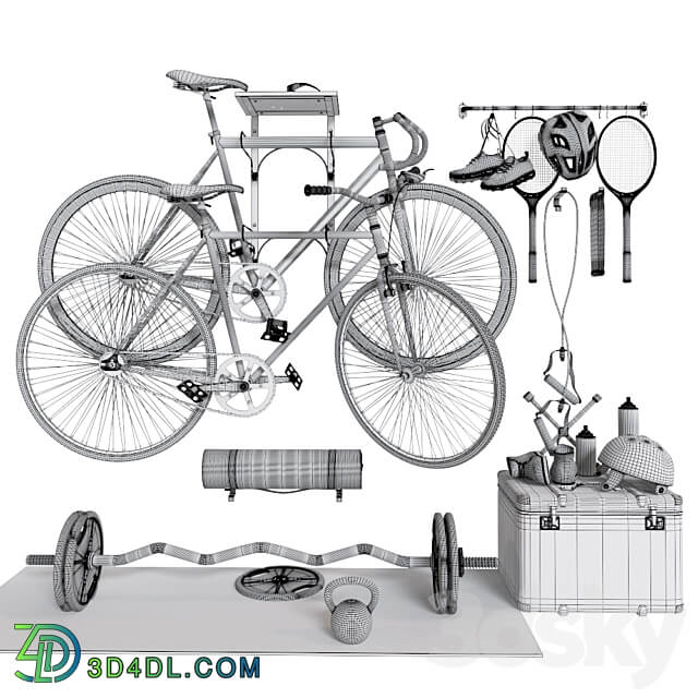 Home gym 3D Models 3DSKY