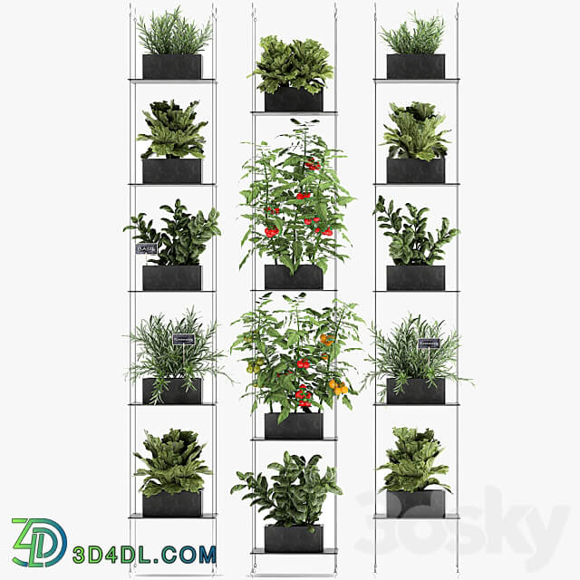 Vertical gardening. 69 Shelf kitchen garden vegetables tomatoes herbs rosemary basil lettuce garden kitchen decor eco design Fitowall 3D Models