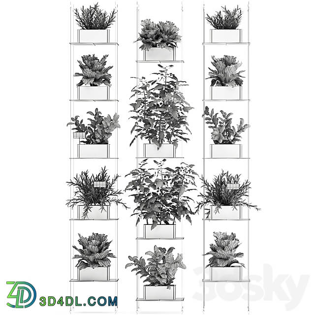 Vertical gardening. 69 Shelf kitchen garden vegetables tomatoes herbs rosemary basil lettuce garden kitchen decor eco design Fitowall 3D Models