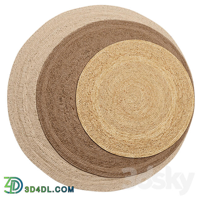 Natural Round Spiral Braided Jute Rug 3D Models 3DSKY