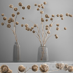 Bouquet 182. dried flowers branches thorns dry decor vase glass eco design interior natural decor 3D Models 