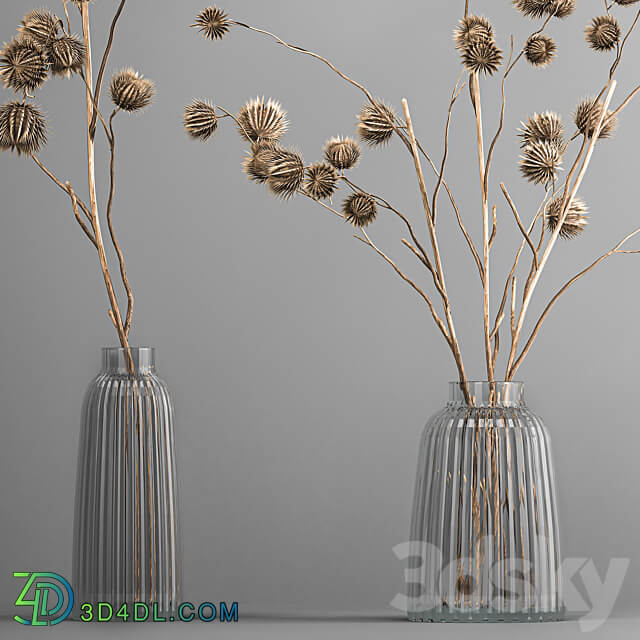 Bouquet 182. dried flowers branches thorns dry decor vase glass eco design interior natural decor 3D Models
