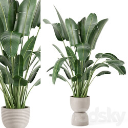 Indoor Plants in rusty Concrete Pot Set 298 3D Models 3DSKY 