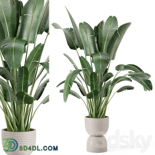 Indoor Plants in rusty Concrete Pot Set 298 3D Models 3DSKY