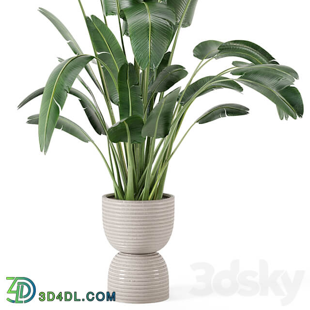 Indoor Plants in rusty Concrete Pot Set 298 3D Models 3DSKY