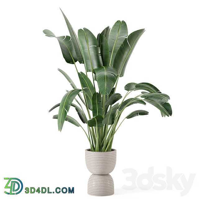 Indoor Plants in rusty Concrete Pot Set 298 3D Models 3DSKY