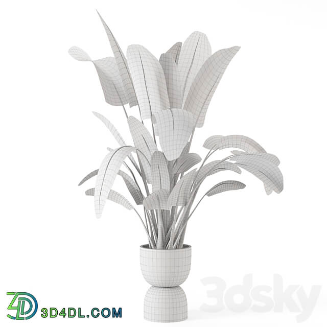 Indoor Plants in rusty Concrete Pot Set 298 3D Models 3DSKY