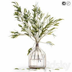 Olive stems 3 3D Models 3DSKY 