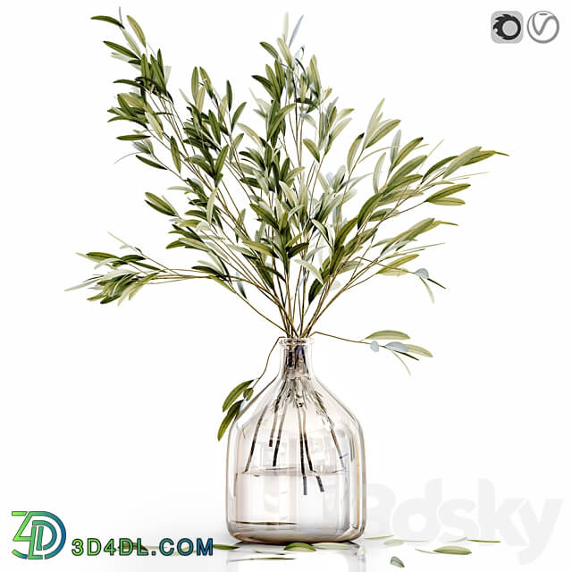 Olive stems 3 3D Models 3DSKY