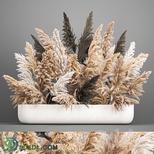 Bouquet 186. pampas grass reeds dried flowers vase cortaderia branches decor luxury natural decor vase table decoration eco design wedding decor 3D Models