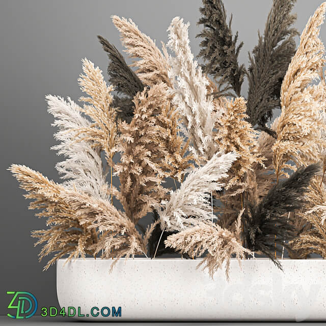 Bouquet 186. pampas grass reeds dried flowers vase cortaderia branches decor luxury natural decor vase table decoration eco design wedding decor 3D Models