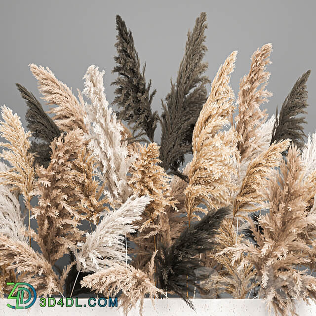 Bouquet 186. pampas grass reeds dried flowers vase cortaderia branches decor luxury natural decor vase table decoration eco design wedding decor 3D Models