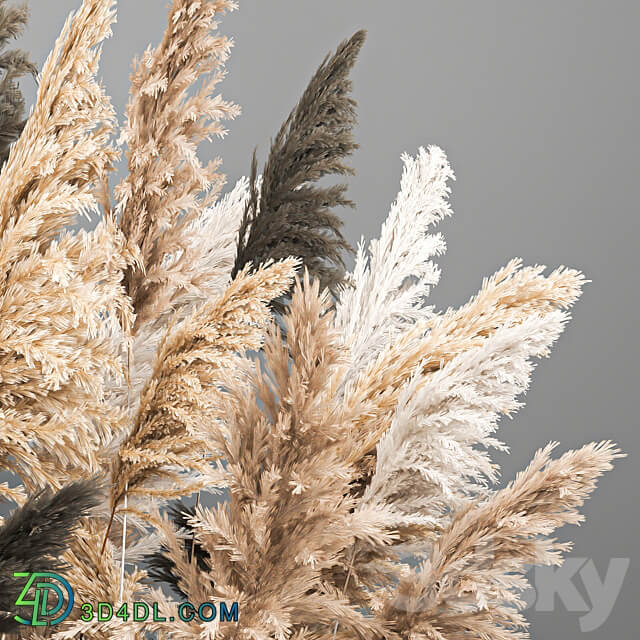 Bouquet 186. pampas grass reeds dried flowers vase cortaderia branches decor luxury natural decor vase table decoration eco design wedding decor 3D Models