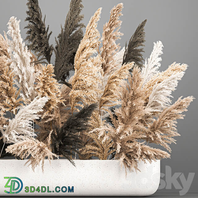 Bouquet 186. pampas grass reeds dried flowers vase cortaderia branches decor luxury natural decor vase table decoration eco design wedding decor 3D Models