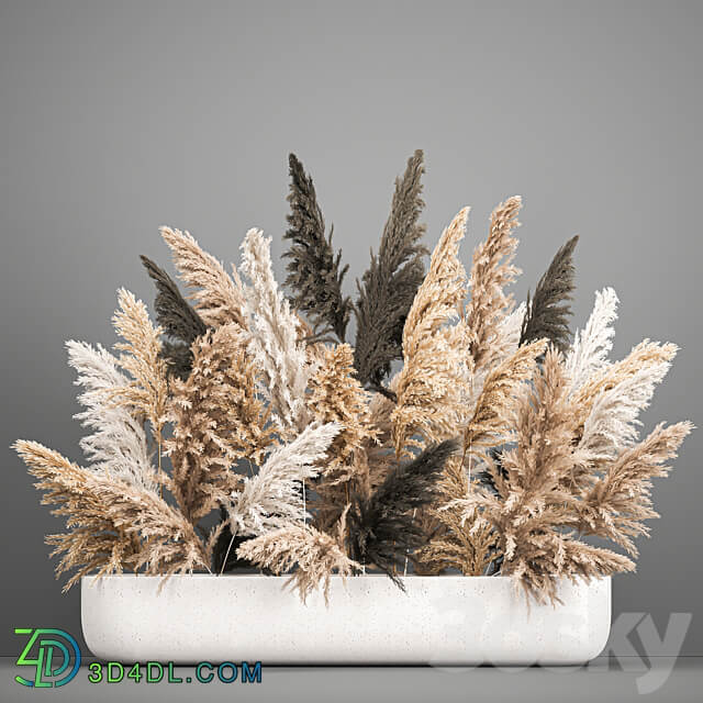 Bouquet 186. pampas grass reeds dried flowers vase cortaderia branches decor luxury natural decor vase table decoration eco design wedding decor 3D Models