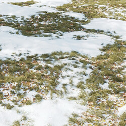 Winter Grass 01 3D Models 3DSKY 