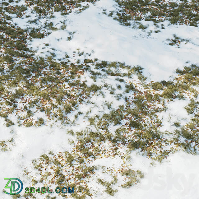 Winter Grass 01 3D Models 3DSKY