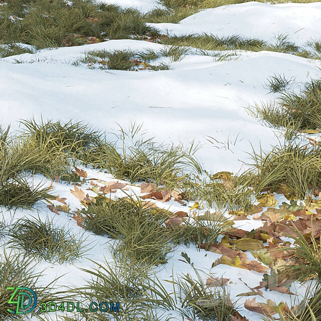 Winter Grass 01 3D Models 3DSKY