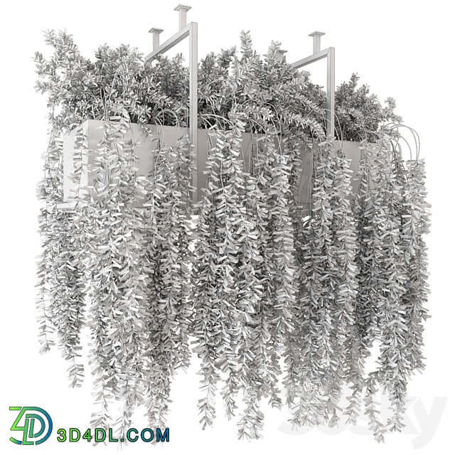 Indoor Hanging Plants in Metal Box Set 303 3D Models 3DSKY