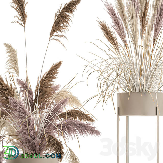 Bouquet 196. Pampas grass reeds dried flowers vase pot flowerpot dry stabilized painted natural decor eco design wedding decorations 3D Models