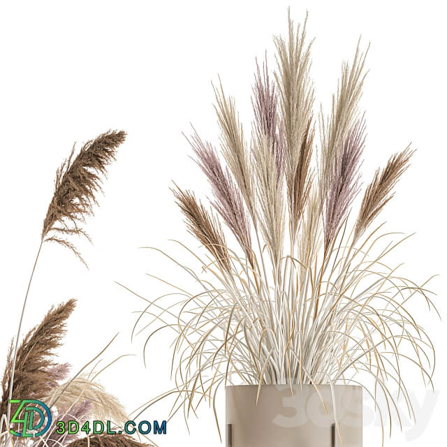 Bouquet 196. Pampas grass reeds dried flowers vase pot flowerpot dry stabilized painted natural decor eco design wedding decorations 3D Models