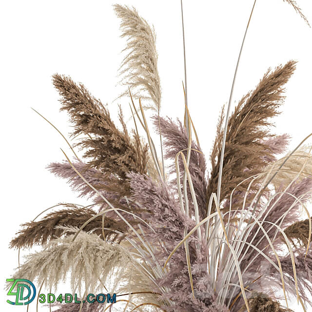 Bouquet 196. Pampas grass reeds dried flowers vase pot flowerpot dry stabilized painted natural decor eco design wedding decorations 3D Models