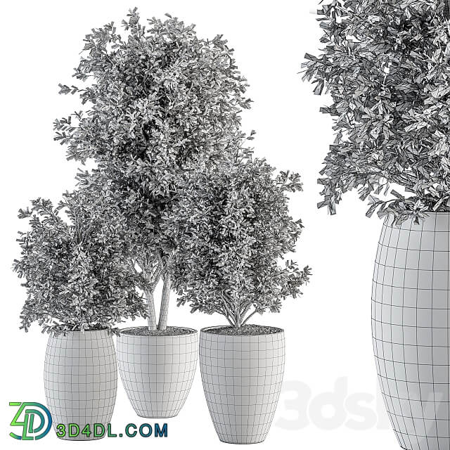 Outdoor Plant Set 306 Plant and Tree Set 3D Models 3DSKY