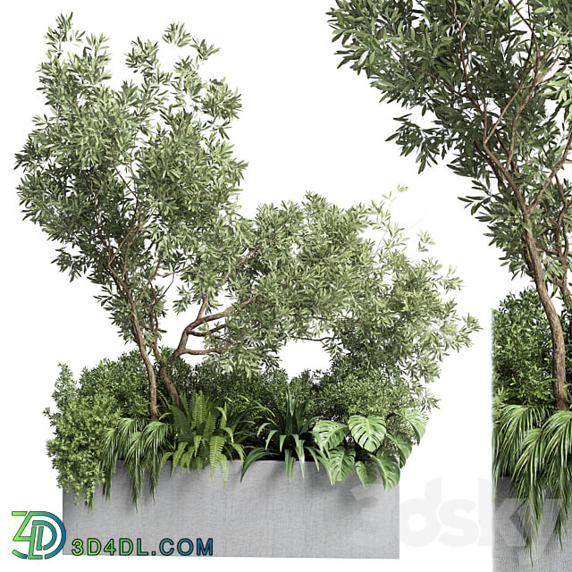Collection outdoor plant 68 pot plant bush grass and tree and palm concrete vase bax 3D Models 3DSKY