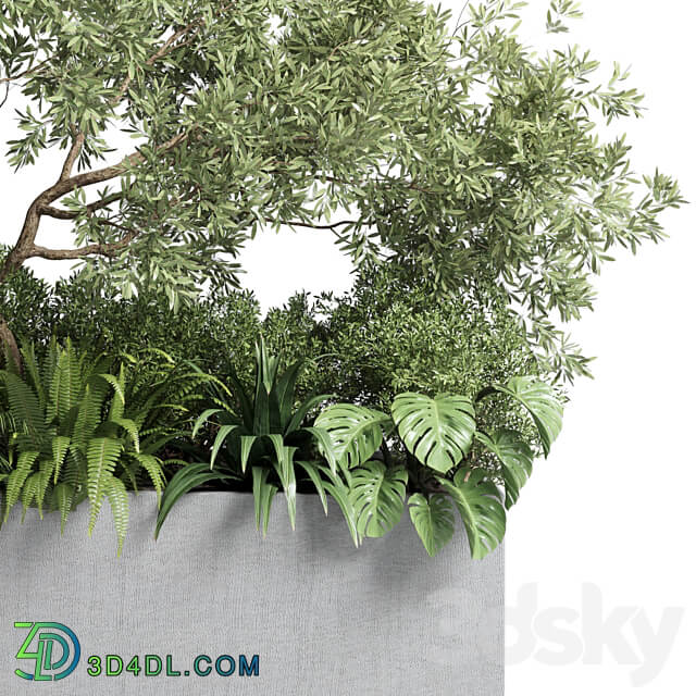 Collection outdoor plant 68 pot plant bush grass and tree and palm concrete vase bax 3D Models 3DSKY
