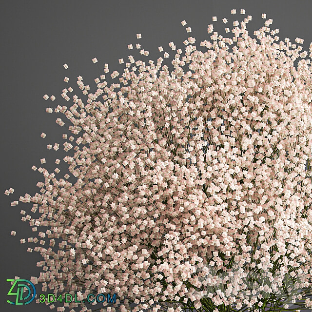 Bouquet 201. Gypsophila Gibsolubka Kachim vase 3D Models