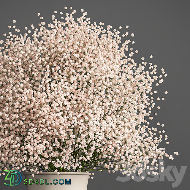 Bouquet 201. Gypsophila Gibsolubka Kachim vase 3D Models