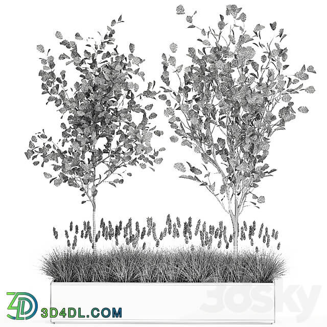 Plant collection 1066. Trees reeds flowerbed reeds grass bushes tree landscaping flowerbed hazel hazel linden 3D Models