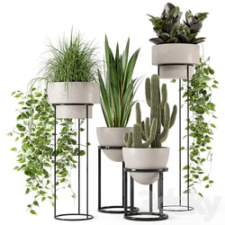 Indoor Plants in rusty Concrete Pot on Metal Shelf Set 327 3D Models 3DSKY 