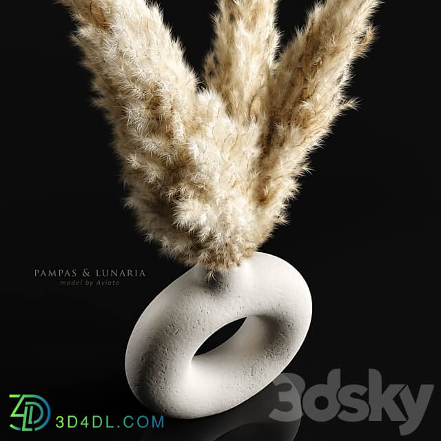 Pampas lunaria 3D Models 3DSKY