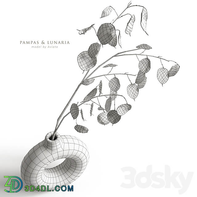 Pampas lunaria 3D Models 3DSKY