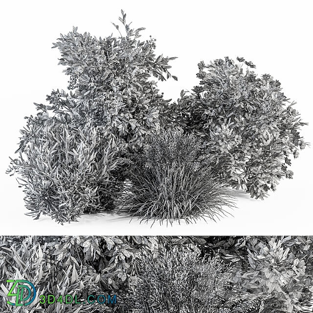Mixed Plant Bush Set 49 3D Models 3DSKY