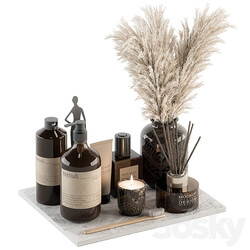 Bathroom accessory Set with Dried Plants Set 22 3D Models 3DSKY 