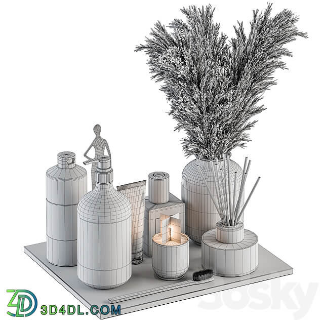 Bathroom accessory Set with Dried Plants Set 22 3D Models 3DSKY