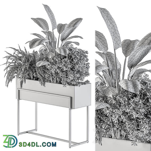 indoor Plant Set 321 Plant Set in Black Box 3D Models 3DSKY